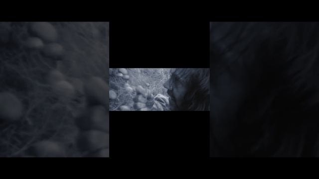 Поле в Англии (2013)
