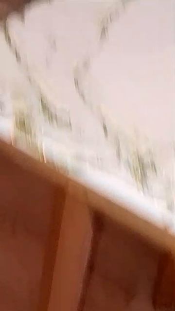 Что нужно бездомным и голодным? Тепло   .Еда.И ласка человеческих рук.