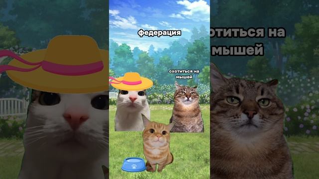 Еще больше пользы для ЕГЭ по обществу в моем ТГК: Мисс обществознание 🤍 #юмор #егэ #егэ2025 #кошки