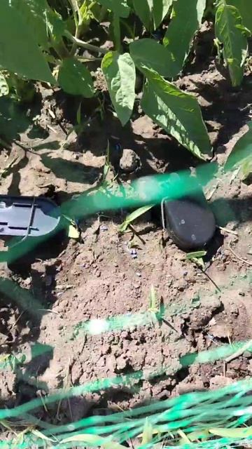 video5276119220055211717