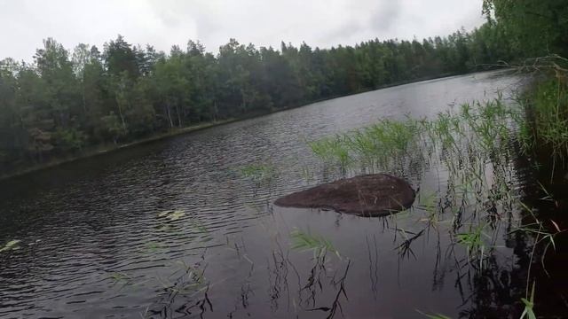 Транскарелия 2022. День 1. Велопоход. От Кузнечного к озеру на место стоянки