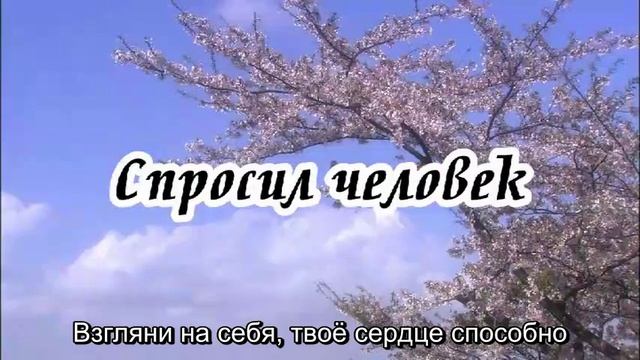 Ксения Лапицкая - Спросил человек(-)
