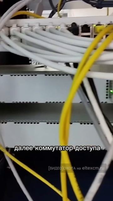 Стойка с оборудованием Eltex: MES5316A, MES2428B. Видео[Охота] на eltexcm.ru