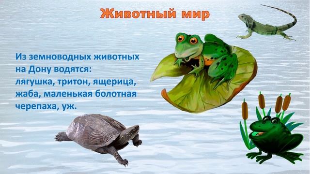Путешествие по реке Дон