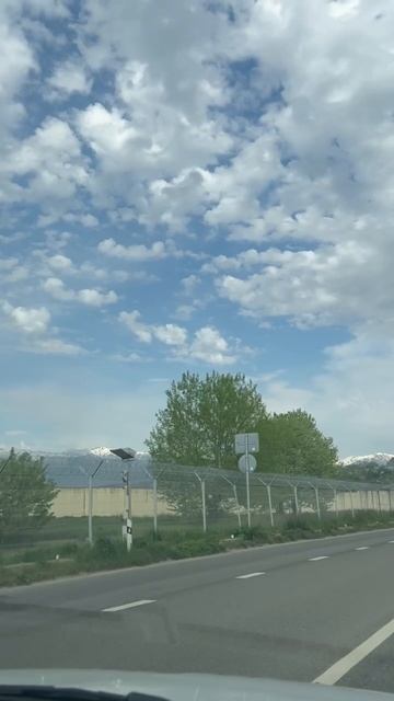 #Жако
#Чихуахуа
#Сочи
#Жизнь Сочи
#Животные Сочи
#Природа Сочи
#Кайф Сочи
#Василиса
Ставь 👍