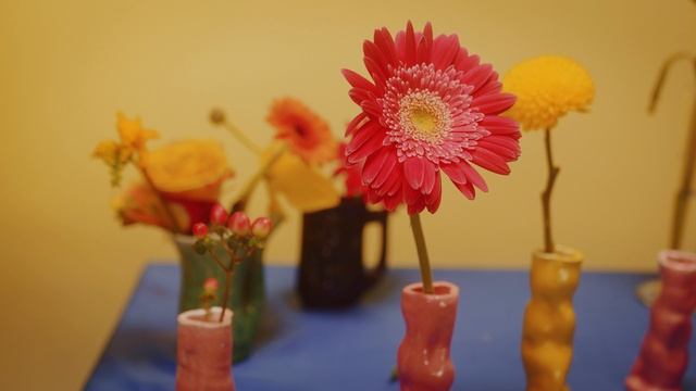 7699742-uhd_4096_2160_24fps