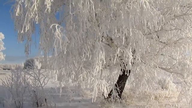 Зимняя сказка