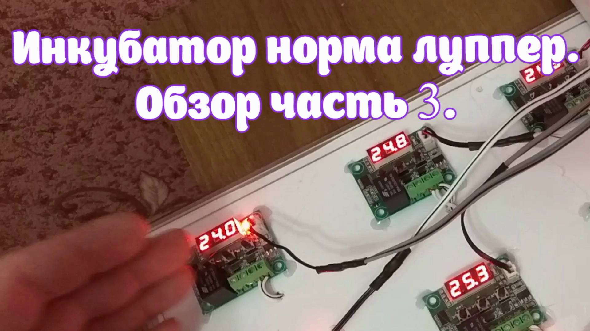 Инкубатор Норма Луппер. Обзор часть 3.