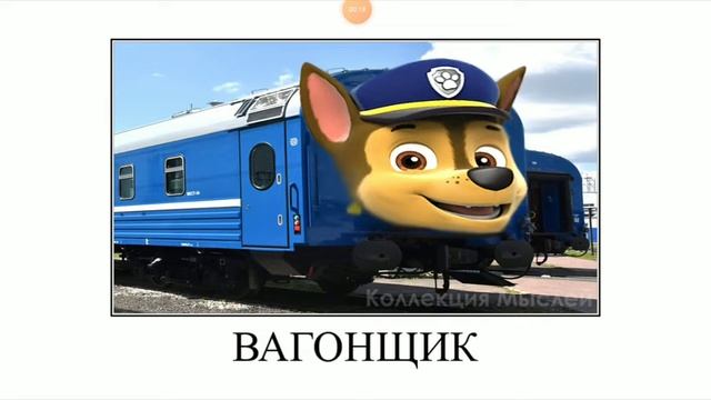 шинячий патруль  плюс  шиза