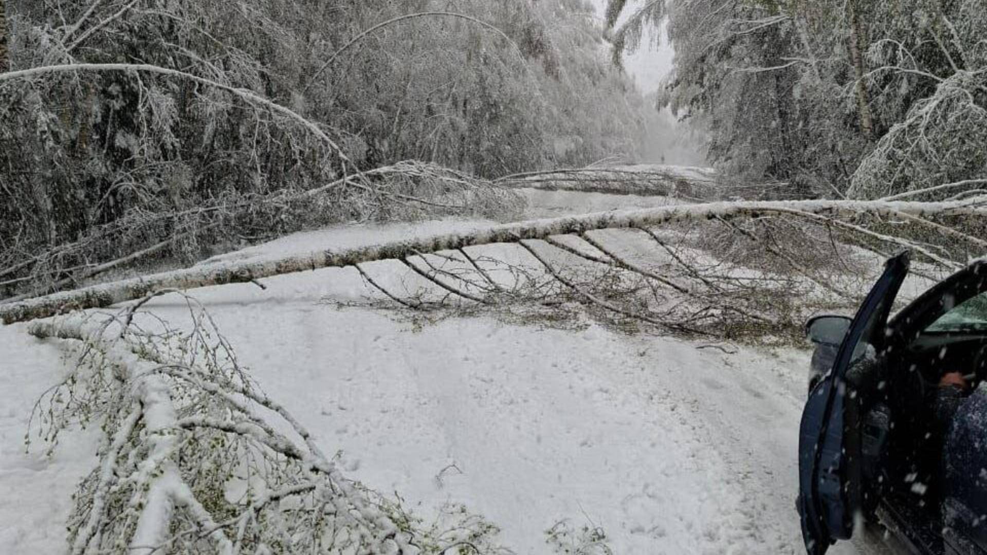 Село в Амурской области осталось без света из-за майского снегопада