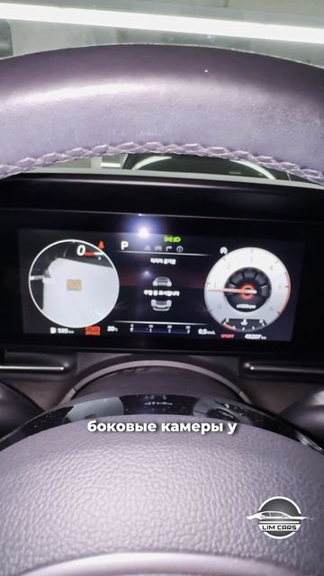 Kia Carnival 9 мест Noblesse из Кореи