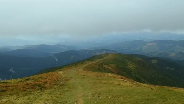 Говерла