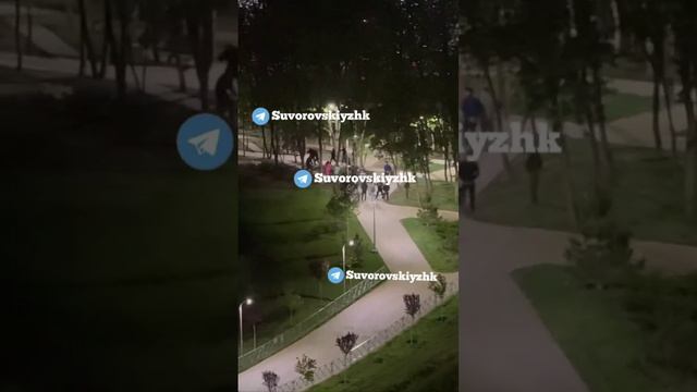 МАССОВОЕ ПОБОИЩЕ: в микрорайоне Суворовский произошла массовая драка.