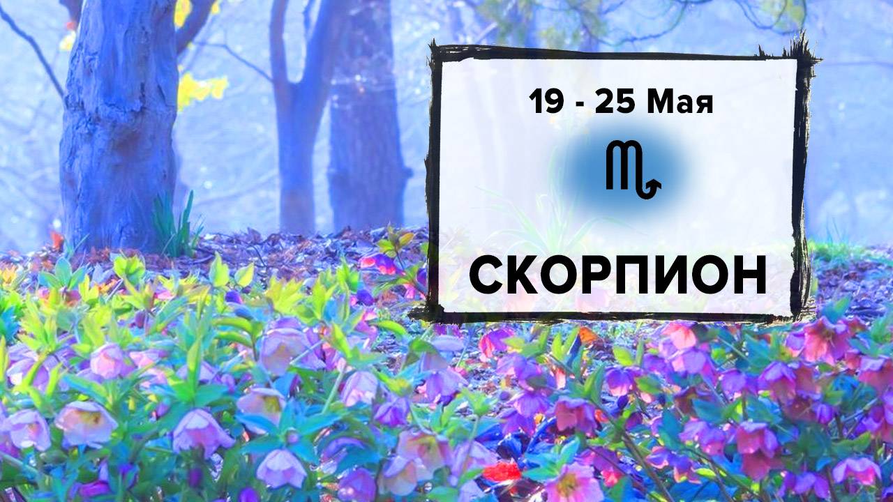 СКОРПИОН ♏ 19 - 25 Мая 2025 | Расклад таро на неделю для знака Зодиака Скорпион