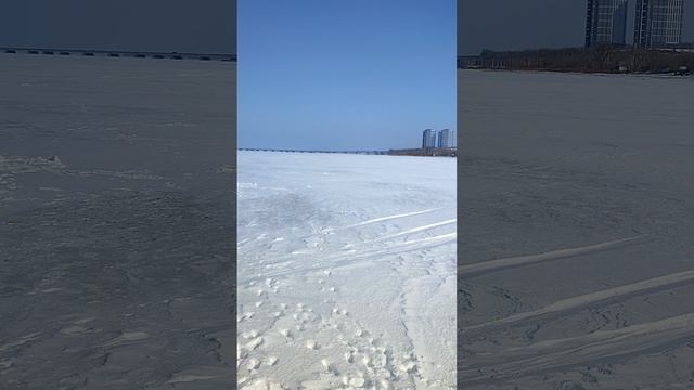 Пусти в машину, злюка!