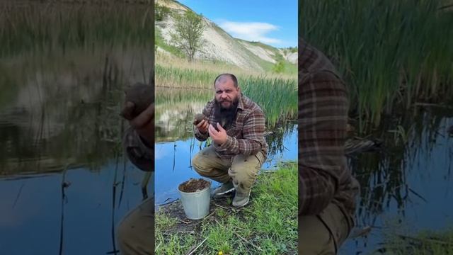 1000005160.mp4