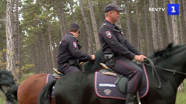 В Мекензиевском лесничестве провели противопожарный рейд