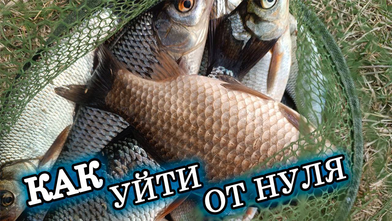 КАК УЙТИ ОТ НУЛЯ? РАСШЕВЕЛИТЬ РЫБУ НА ТОЧКЕ В ФИДЕРНОЙ РЫБНОЙ ЛОВЛЕ? Не остаться с 0? ОСНОВЫ фидера