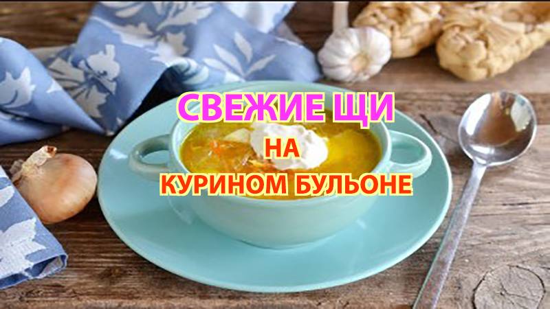 Свежие щи на курином бульоне 🍲 | Простой и вкусный рецепт домашних щей