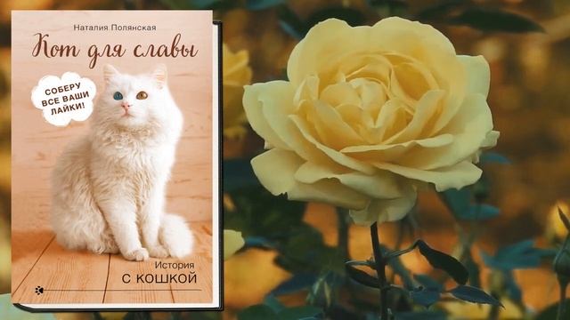 Кот для славы. Любовный роман (Наталия Полянская) Аудиокнига
