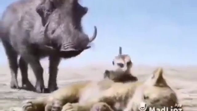 керм да буи даханд