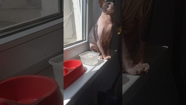 1лкледеьеледеджещпнщщнлпьн