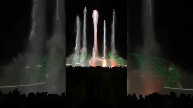 26 октября 2023 г.