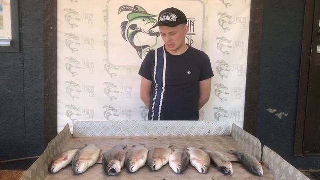 улов форели у Бориса