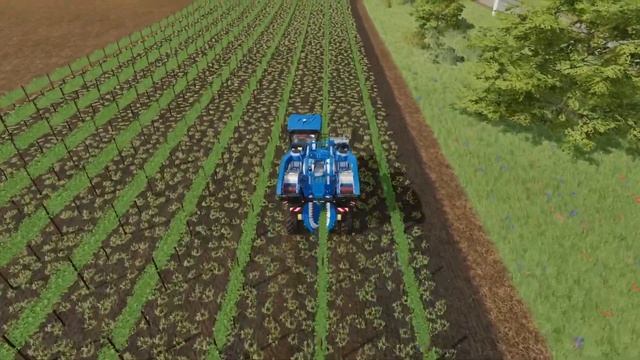Таймлапс #152/Уборка винограда/Карта Бухалово/Farming Simulator 2022