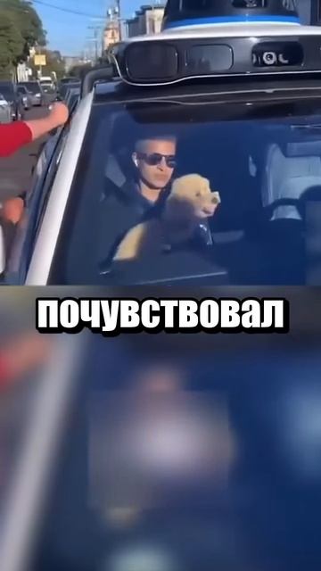 А если бы за рулём сидел таксист из Яндекса?