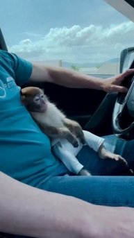 Ровнее держи 😁