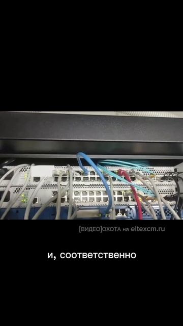 Коммутатор доступа MES2324 Eltex. Видео[Охота] на eltexcm.ru