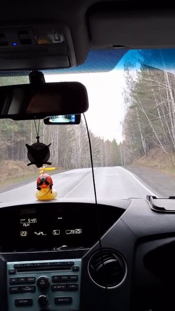 Дорога