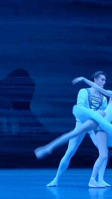 Клип @balletbeautifulart
