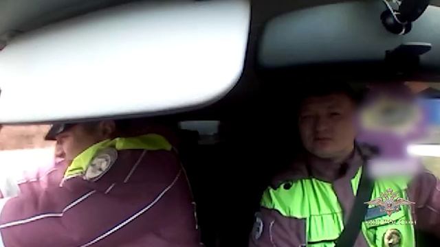 Ирина Волк: Сотрудники Госавтоинспекции применили оружие для задержания правонарушителя