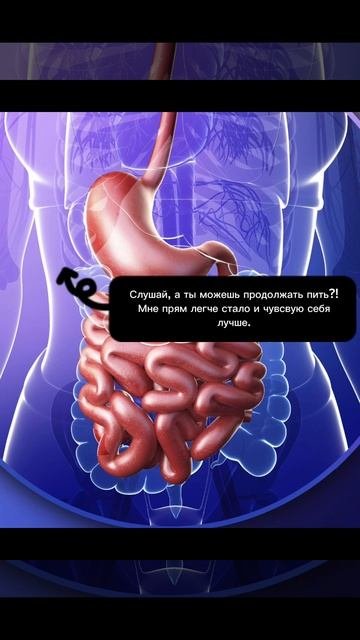 Беседа с ЖКТ
