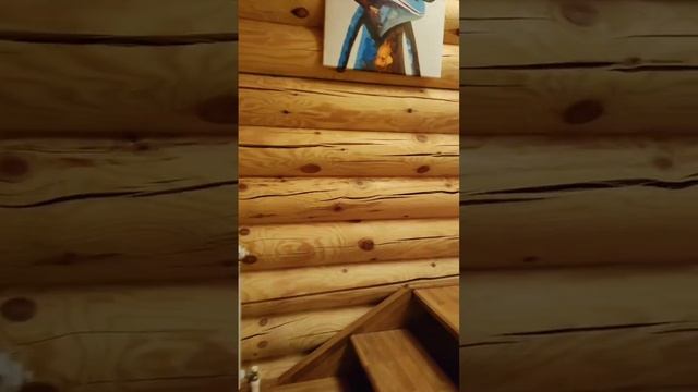 Дача Лесная Сказка РМЭ