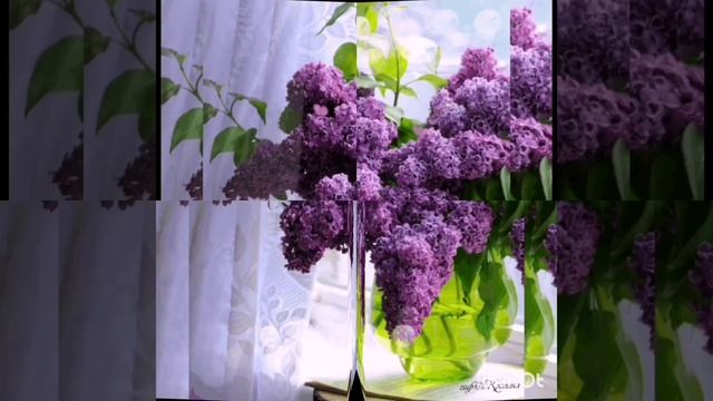 16-05-2025 ЛВЕ