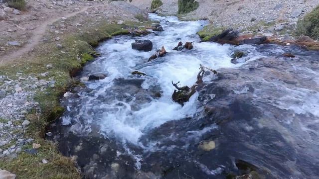 ФАНтастические ФАНЫ.Часть 3