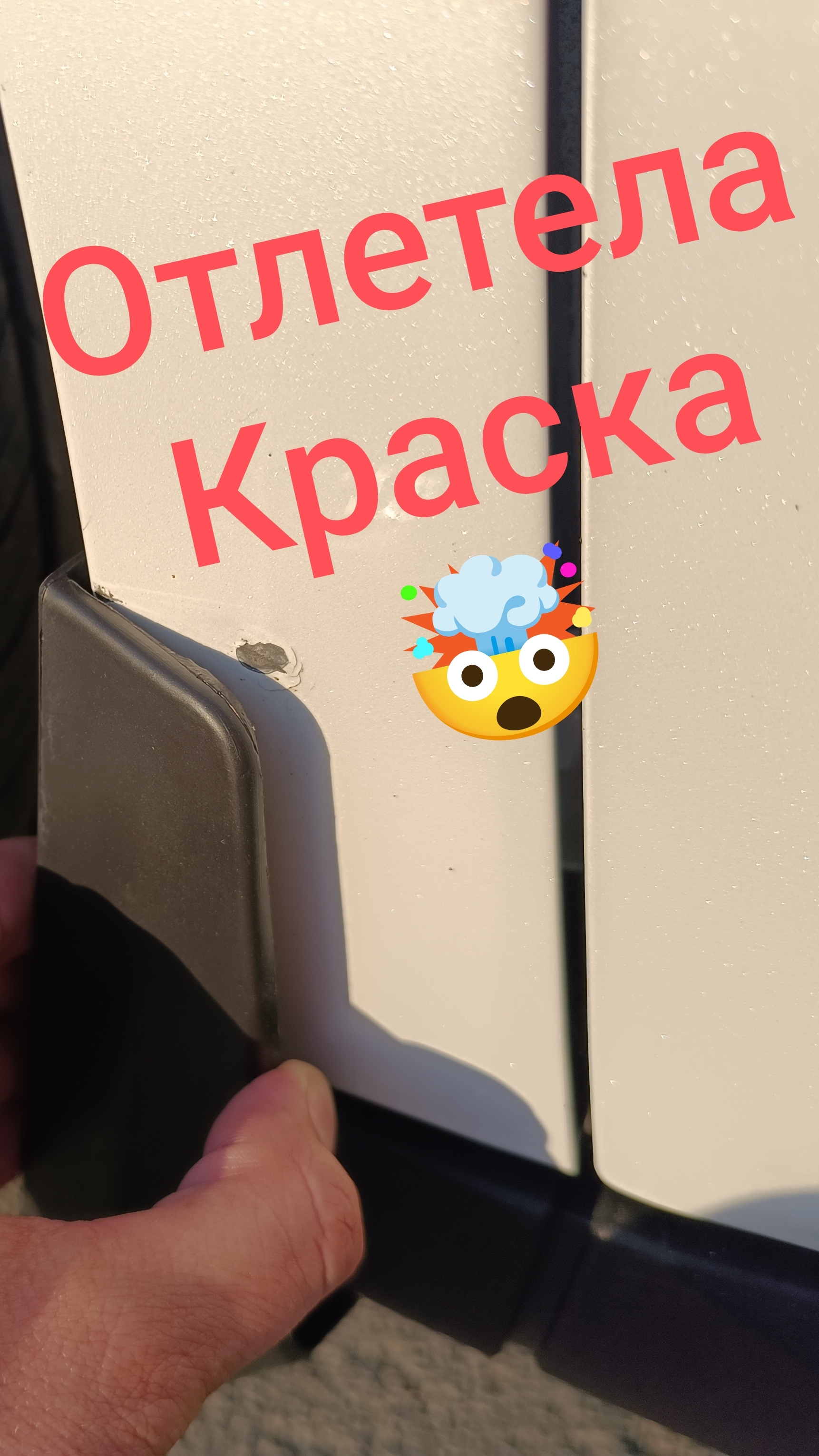 HAVAL. Хавал М 6