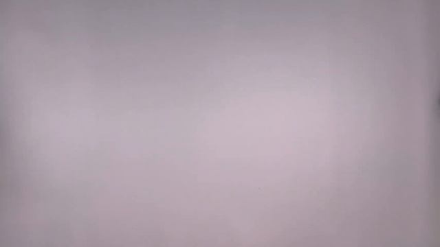f-0113. Толстовки ФЛИС.  Германия. Лот 17049 14,1кг. 40ед.