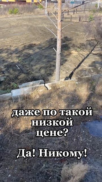 Участок на горе!