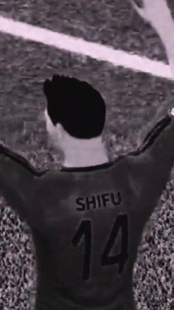 Продман и Шифу