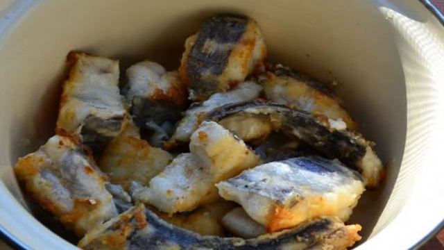 Морской заяц тушеный в сметанном соусе
