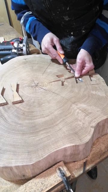 Скрепляю трещину на спиле дуба