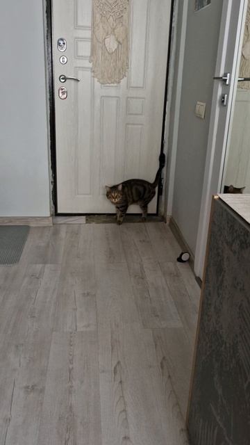 Ты кто ?