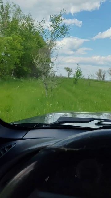 В поисках грибного рая