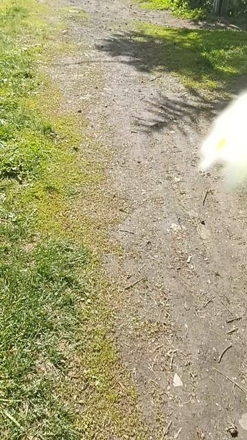 1000000829.mp4