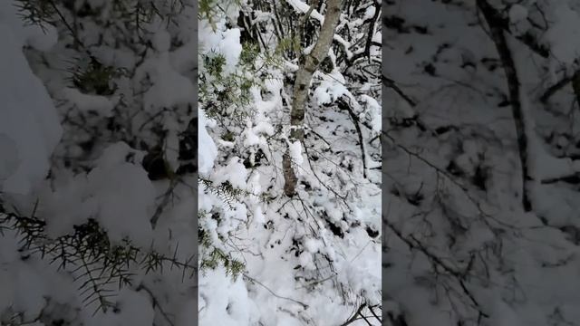 Last Christmas  - Балаклава