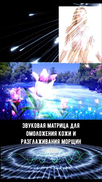 морщины шорт